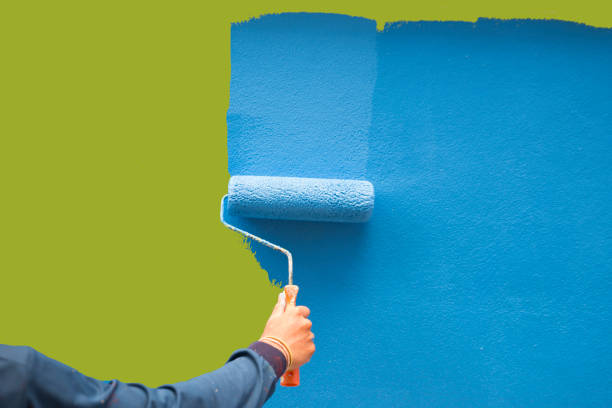 Reliable Shavano Park, TX Mold Removal Solutions